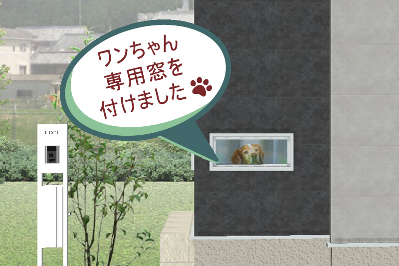 お家の見どころイメージ