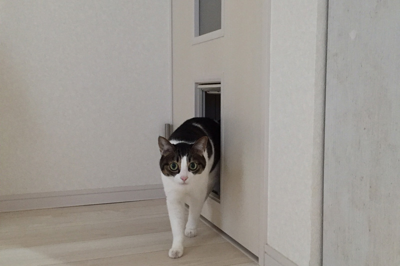 お家の見どころイメージ